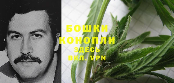 прущая мука Белокуриха