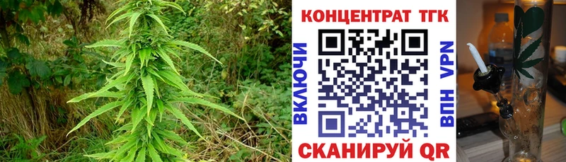 ТГК жижа  Купить закладки  Асбест 