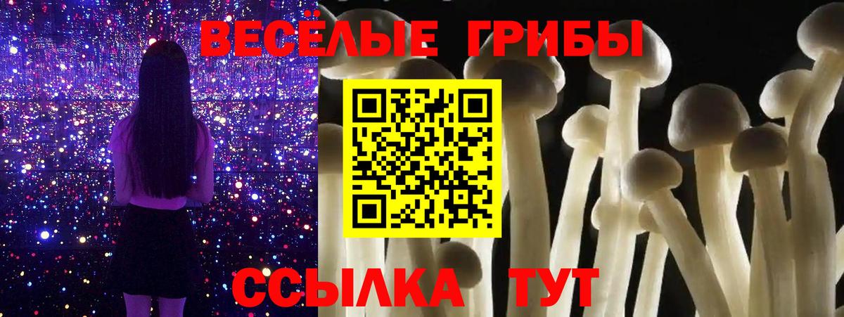 Галлюциногенные грибы MAGIC MUSHROOMS Асбест