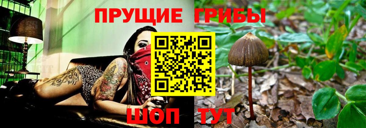 купить наркотик  Псилоцибиновые грибы прущие грибы  Вход с VPN  Асбест 