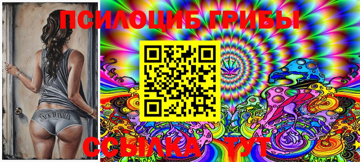 Псилоцибиновые грибы мицелий  Галлюциногенные грибы Magic Shrooms  где продают наркотики  Асбест 